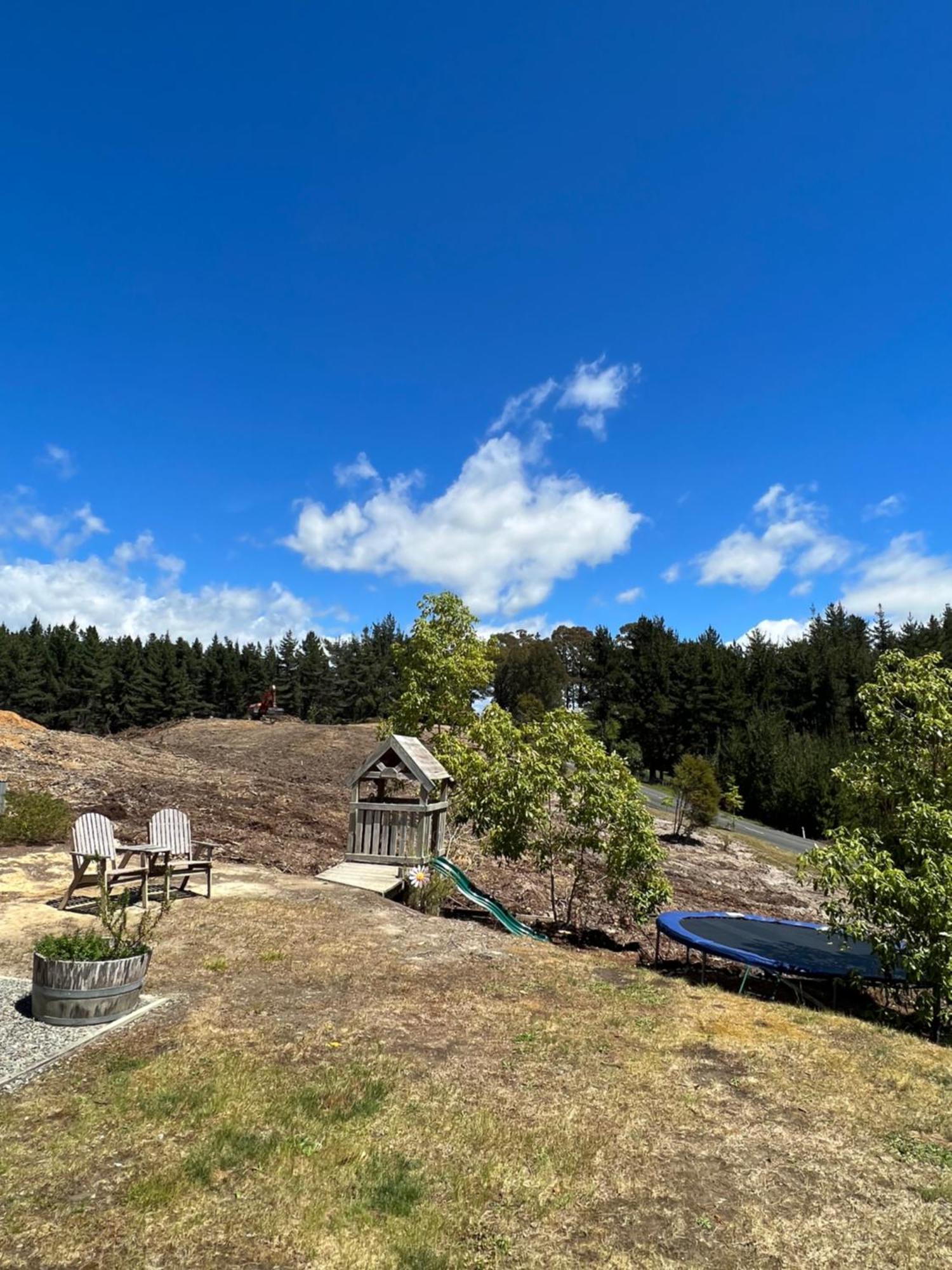 Beech Hill - Pet Friendly Holiday Home Tasman Exterior photo